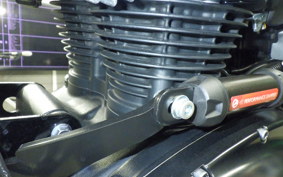 KAWASAKI W800 CAFE 2020 EJ800B