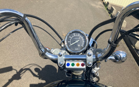 YAMAHA VIRAGO 250 3DM