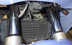 YAMAHA FZR250 2KR