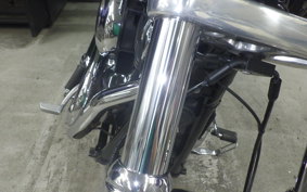 HARLEY FXDL 1580 2015