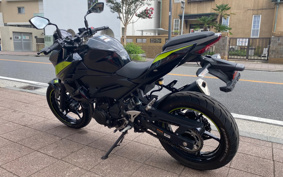 KAWASAKI Z250 EX250P