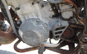 SUZUKI RMX250