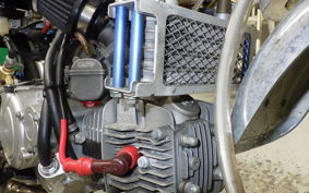 OTHER +UNREGISTERED MODEL by BDS125 1996