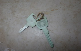 OTHER +SILVER ﾋﾟｼｮﾝC135