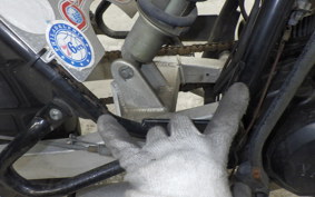 YAMAHA TW200 Gen.2 2014 DG07J