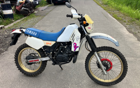 YAMAHA DT125R 34X