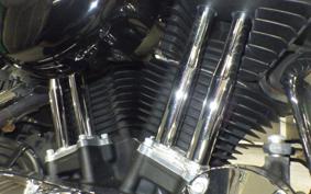 HARLEY XL1200XS 2019