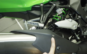 KAWASAKI ZX-4RR 2023 ZX400P
