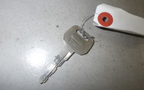 KAWASAKI 250TR 2022 BJ250F