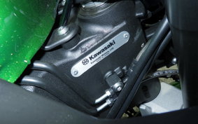 KAWASAKI NINJA1100SX SE 2025 ZXT10H