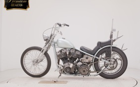 OTHER +UNREGISTERED MODEL by BDS1330 2021