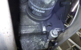 YAMAHA YZF-R25 2019 RG10J