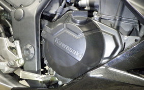 KAWASAKI Z250 2026 ER250C