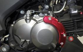 KAWASAKI Z125 PRO BR125H