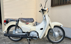 HONDA SUPER CUB50