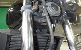 HONDA JADE