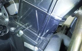 OTHER +MUTT DRK-01 250 1999