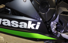 KAWASAKI NINJA 250 ABS 2024 EX250L