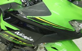 KAWASAKI NINJA 400 2018 EX400G