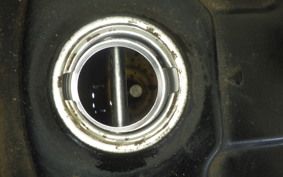 HONDA DJ-1 RR AF19