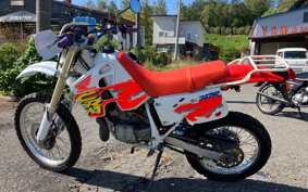 HONDA CRM250R MD24