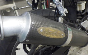 SUZUKI GOOSE 250 2012 NJ46A