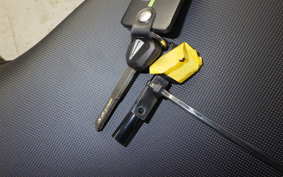 KAWASAKI NINJA1100SX 2025