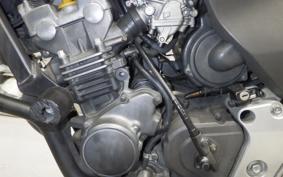 HONDA HORNET 250