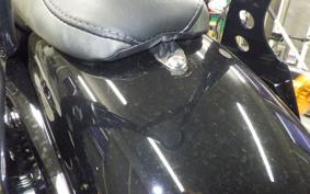 HARLEY XL1200NS 2019