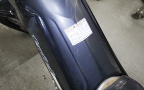 YAMAHA TRICKER 2024 DG10J