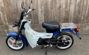 SUZUKI BIRDIE90 BD43A