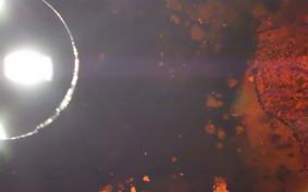 HARLEY FXSB 1580 2015