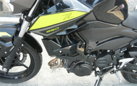 KAWASAKI Z250 EX250P