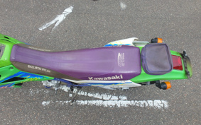 KAWASAKI KLX250 LX250E