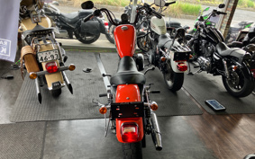 HARLEY XL883R 2008 CS2