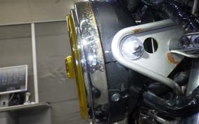 HONDA HORNET 250 2010 MC31