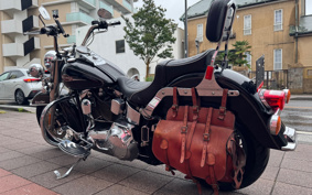 HARLEY FLSTC 2006 BJY