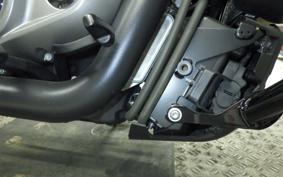 HARLEY RH975S 2024
