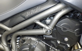 TRIUMPH TIGER 800 XR X 2019