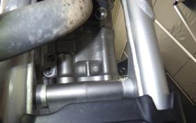 HONDA CRF250L 2024 MD47