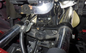 SUZUKI GSX250 R 2005