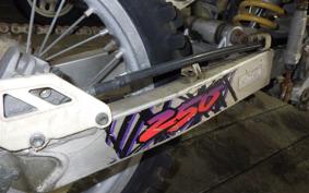 SUZUKI RMX250