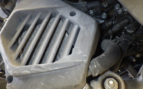 HONDA TACT Basket AF75