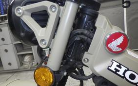 HONDA CT125 HUNTER CUB 2024 JA55