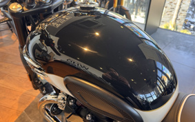 TRIUMPH BONNEVILLE T120 2025 D1BH25