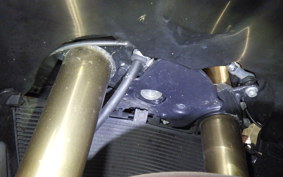 SUZUKI GSX-R1000 2009