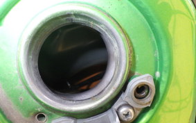 KAWASAKI KLX250D TRACKER X LX250V