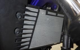 YAMAHA MT-03 2019 RH13J