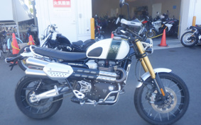 TRIUMPH SCRAMBLER 1200 XE 2021 DAD82H