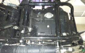 OTHER +ENFIELD ﾒﾃｵ350 2024